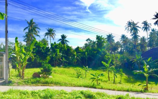 Levný pozemek nedaleko pláže, Koh Samui
